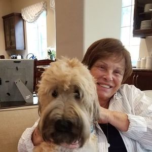 Meet your Posher, Elena